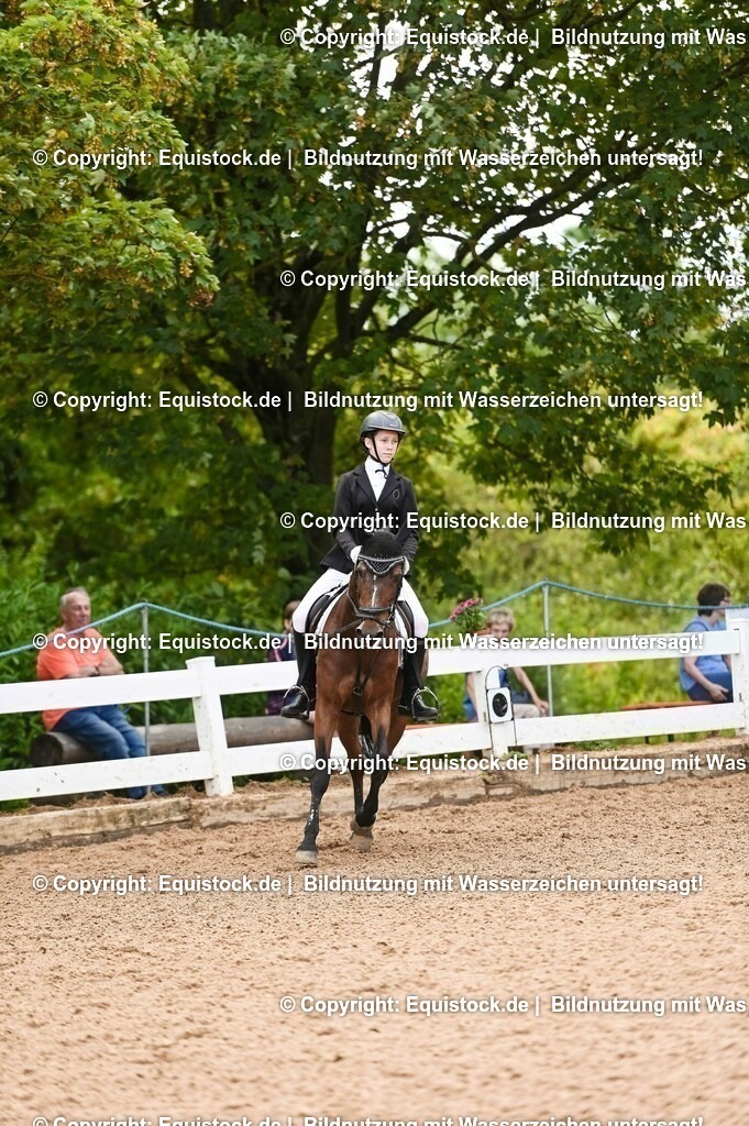 20230716_10-2_Reiter-WB Schritt - Trab - Galopp_0119 | equistock
