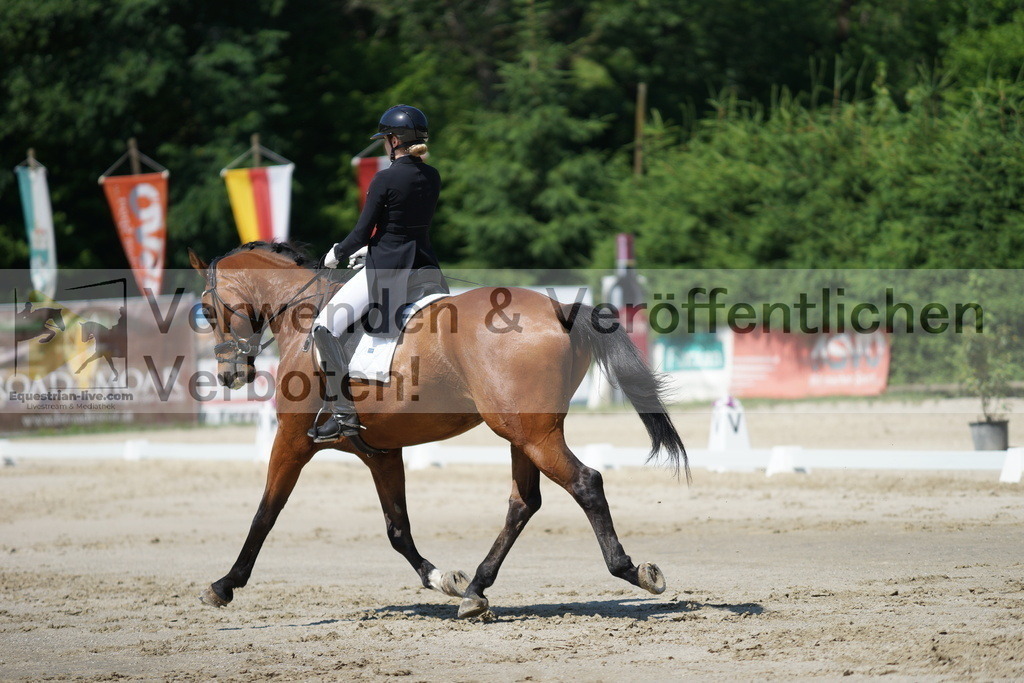 DSC03150 | equestrian-live-com