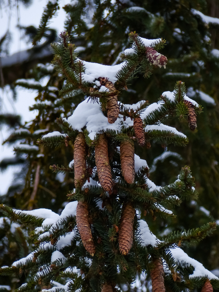 PSX_20230122_222509 | mtkfoto_ - Realisiert mit Pictrs.com