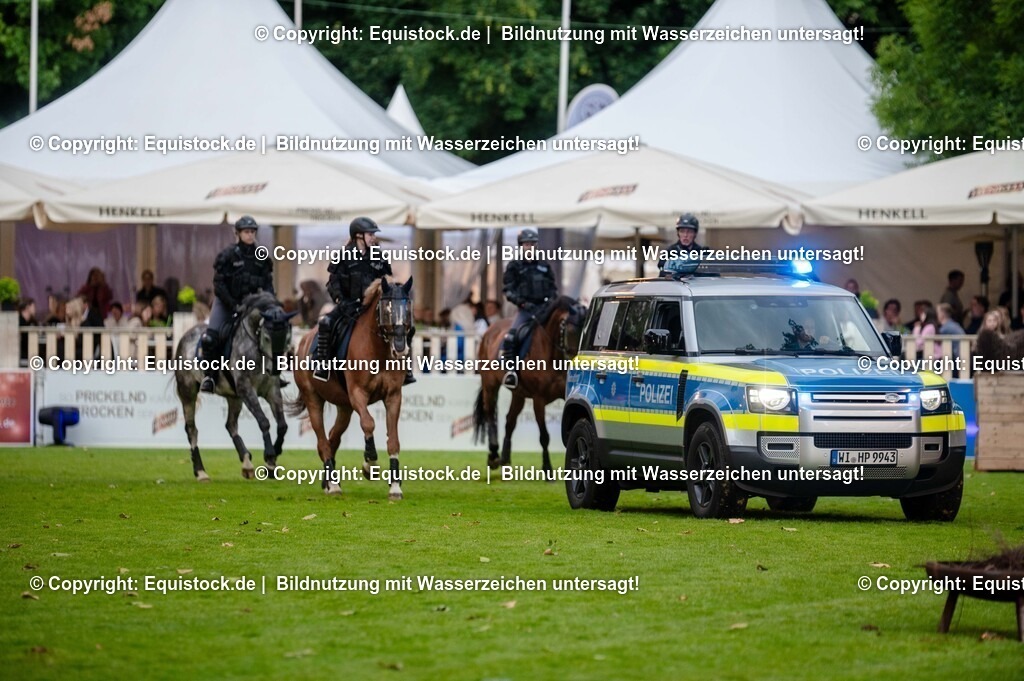 20250606_Lange-Pferdenacht_0727 | Foto: Thomas Hartig