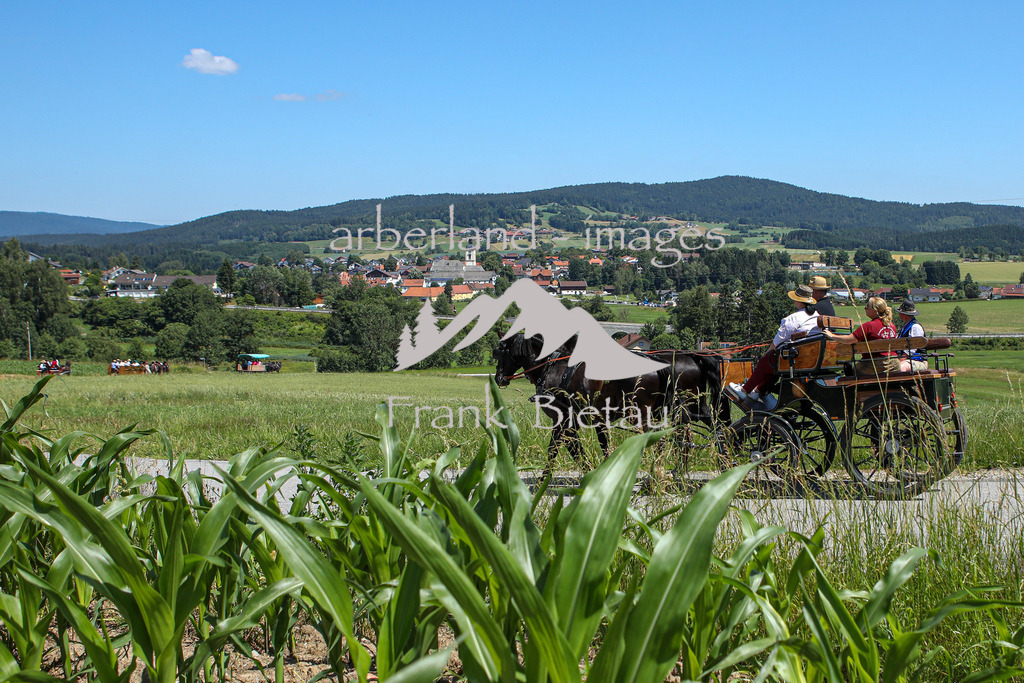 OE7A8513 | es geht wieder hinunter zurück nach Rinchnach