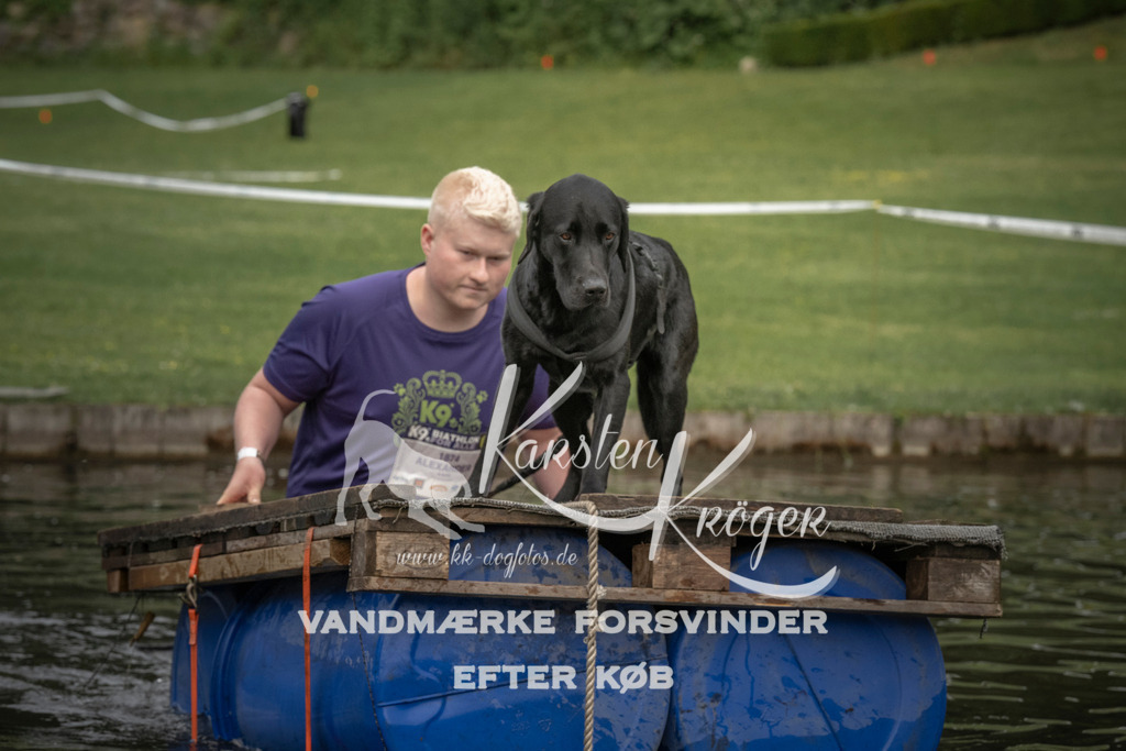 0804_ZZ90612 | kk-dogfotos