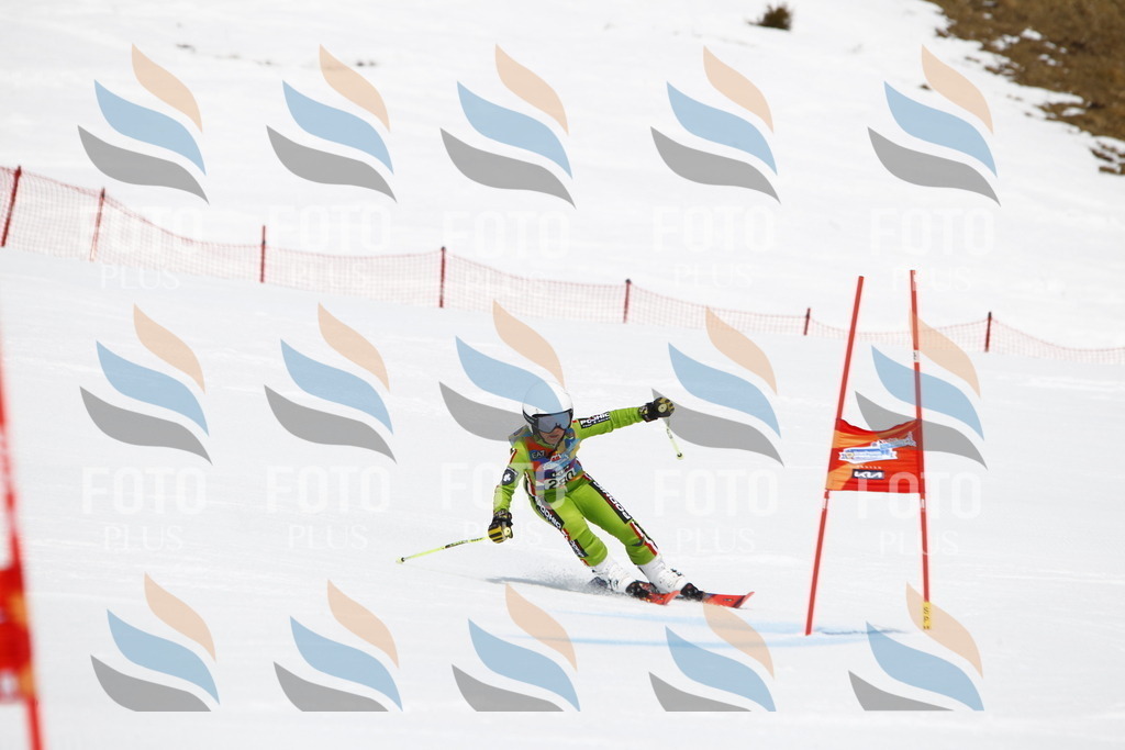 _U3G7009 | holidayphoto