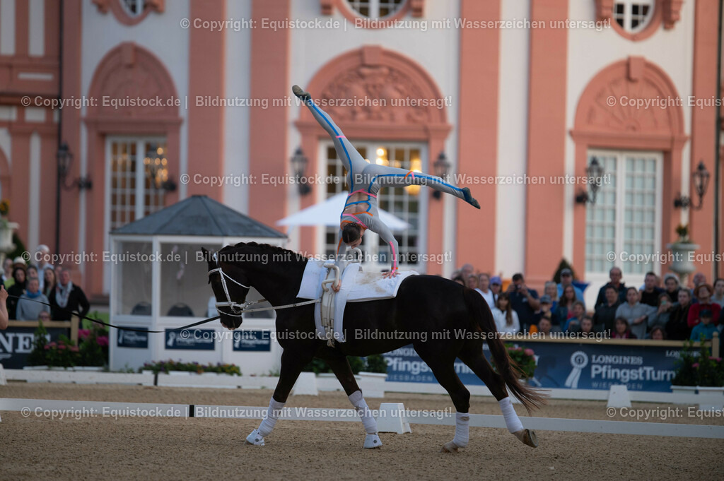 20230527_Voltigieren_NASPA_Flutlicht_0034 | equistock