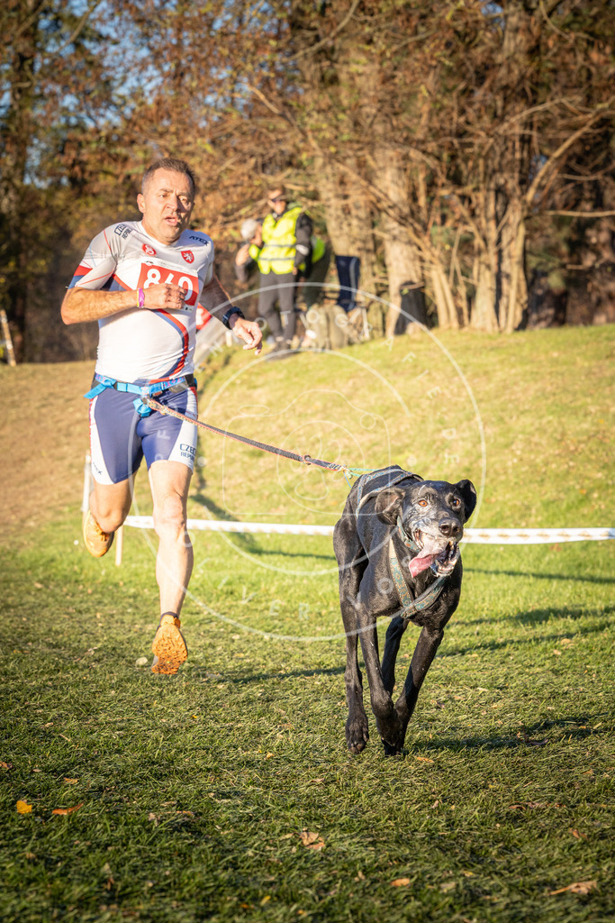 CaniXpix_0L8A0916 | Hundefotografie, Tierfotograf, Pfotenfotografie, Fotoshooting Hund, Hunde Portrait, Hundesport, Hundeportraits, Heideshooting, Hunde, Sportfotograf, Hundefotograf, Turnierhundsport, THS,  - Realisiert mit Pictrs.com