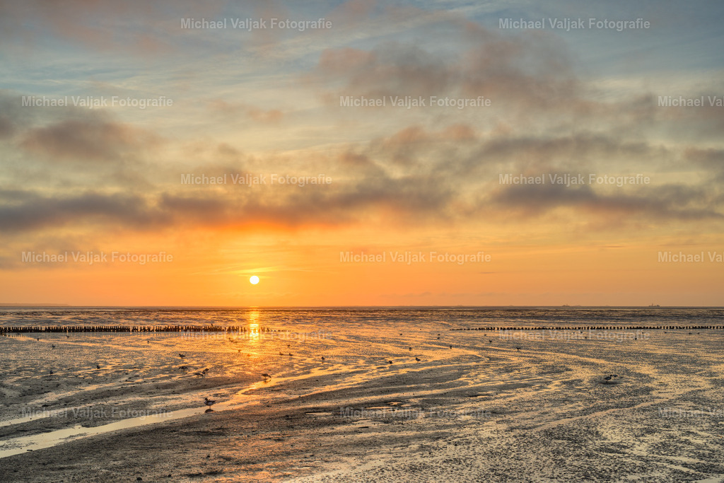 Wattenmeer auf Amrum bei Sonnenaufgang | Das Wattenmeer auf Amrum bietet bei Sonnenaufgang ein spektakuläres Naturschauspiel. Wenn die ersten Sonnenstrahlen den Himmel erleuchten, wird das einzigartige Ökosystem des Wattenmeers in ein warmes, goldenes Licht getaucht. Besucher können die reiche Biodiversität dieses UNESCO-Weltnaturerbes bewundern, während die aufgehende Sonne die Landschaft in eine atemberaubende Farbpalette verwandelt. Es ist ein Moment der Ruhe und Schönheit, der die harmonische Beziehung zwischen Land, Meer und Himmel betont. - Realisiert mit Pictrs.com