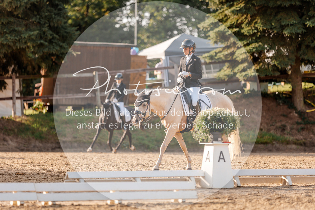 3I6A2468 | Stimmungsvolle Portraits und Reitsportfotografie im Ruhrgebiet und im Münsterland.

Pferdefotografie, Hundefotografie, Tierfotografie, Reportagen, Portraits von Tier und Mensch, Turnierfotografie in Bochum, Recklinghausen, Marl, Haltern am See, Dülmen.. - Realisiert mit Pictrs.com