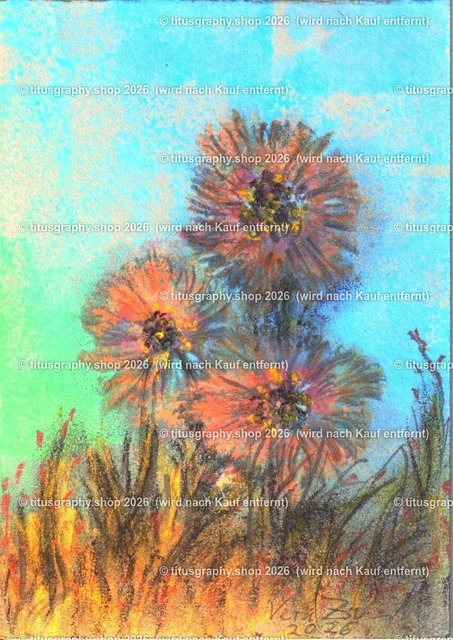 Asterngruß Variation 04 | Zeichnung von Vera Zschecked exclusiv auf titusgraphy.eu - Realisiert mit Pictrs.com