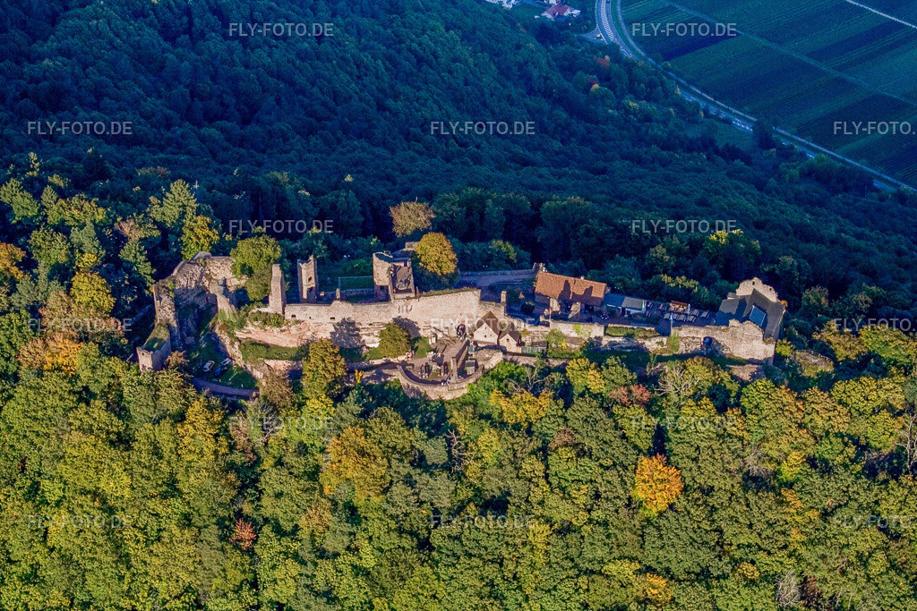 Burgruine Madenburg von Westen | Luftbild: Burgruine Madenburg von Westen in Eschbach im Bundesland Rheinland-Pfalz in Deutschland. Foto: IMG_13693.jpg vom 28.09.2008 durch Werner Riehm/FLY-FOTO.de - Realisiert mit Pictrs.com