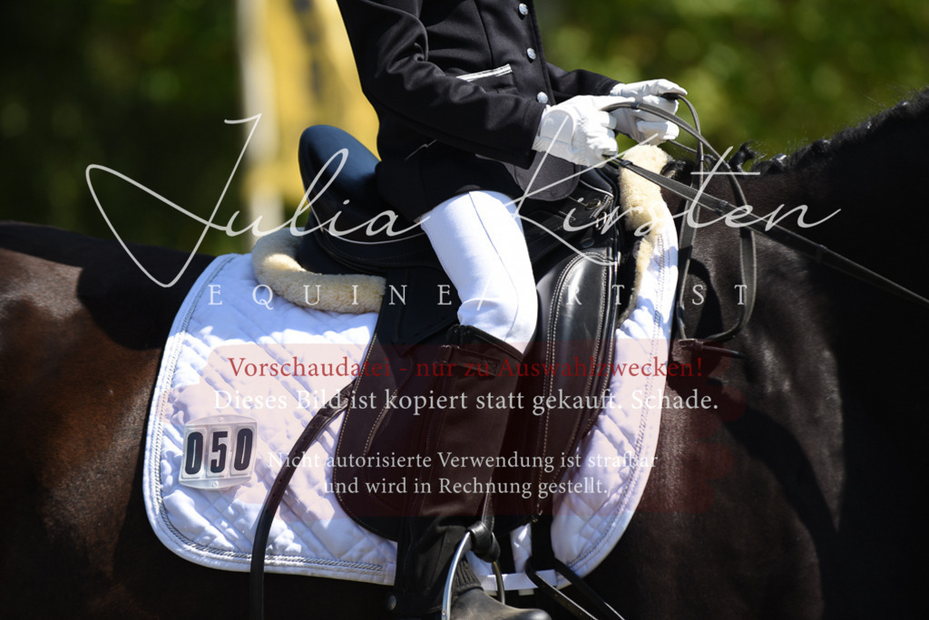 DSC_9765 | Pferde- und Turnierfotografie in Westsachsen. Pferdeportraits, Auftragszeichnungen und intuitive Kunst.