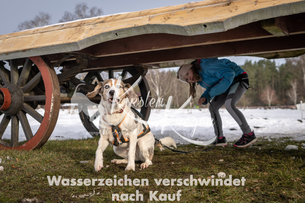 0858_ZZ93282-3 | kk-dogfotos
