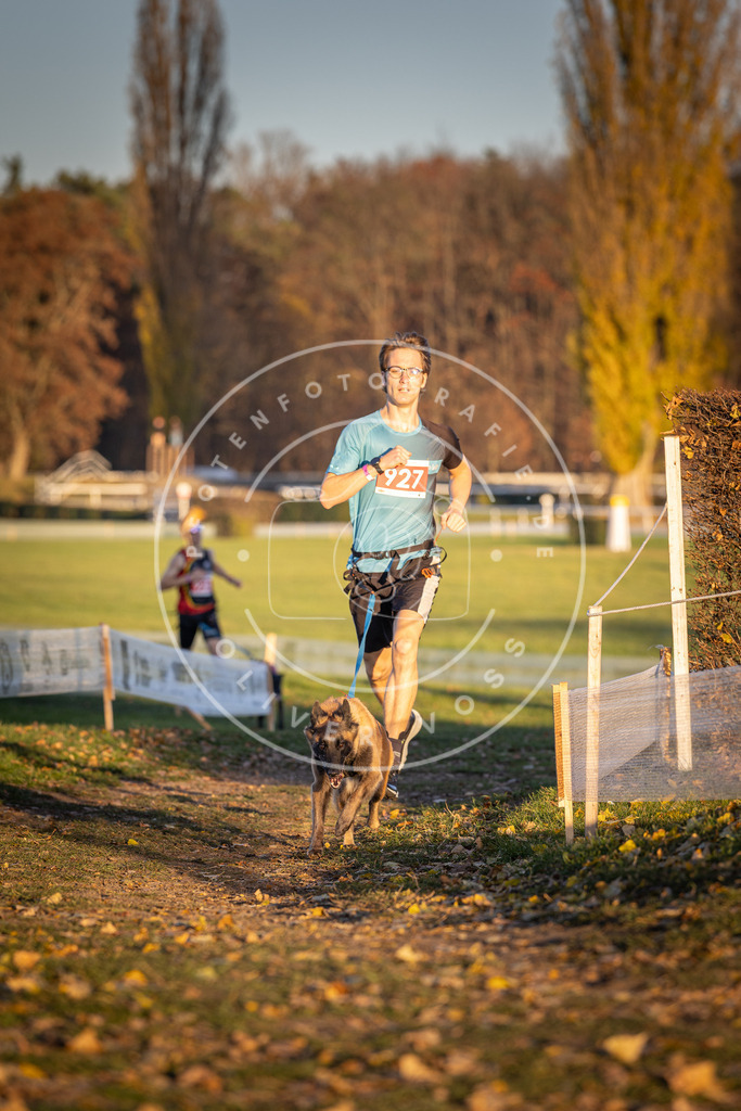 CaniXpix_DV3A5057 | Hundefotografie, Tierfotograf, Pfotenfotografie, Fotoshooting Hund, Hunde Portrait, Hundesport, Hundeportraits, Heideshooting, Hunde, Sportfotograf, Hundefotograf, Turnierhundsport, THS,  - Realisiert mit Pictrs.com