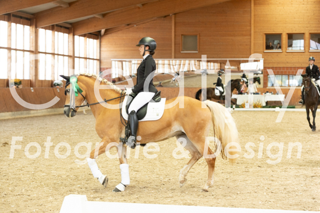 IMG_6346 | Creatify Fotografie