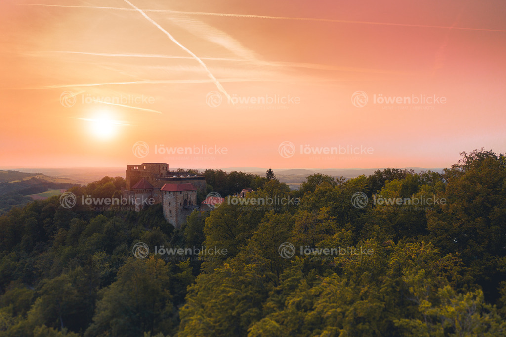 DANIEL-GIMMER-PHOTOGRAPHY_LOEWENBLICKE_0203 | löwenblicke | shop