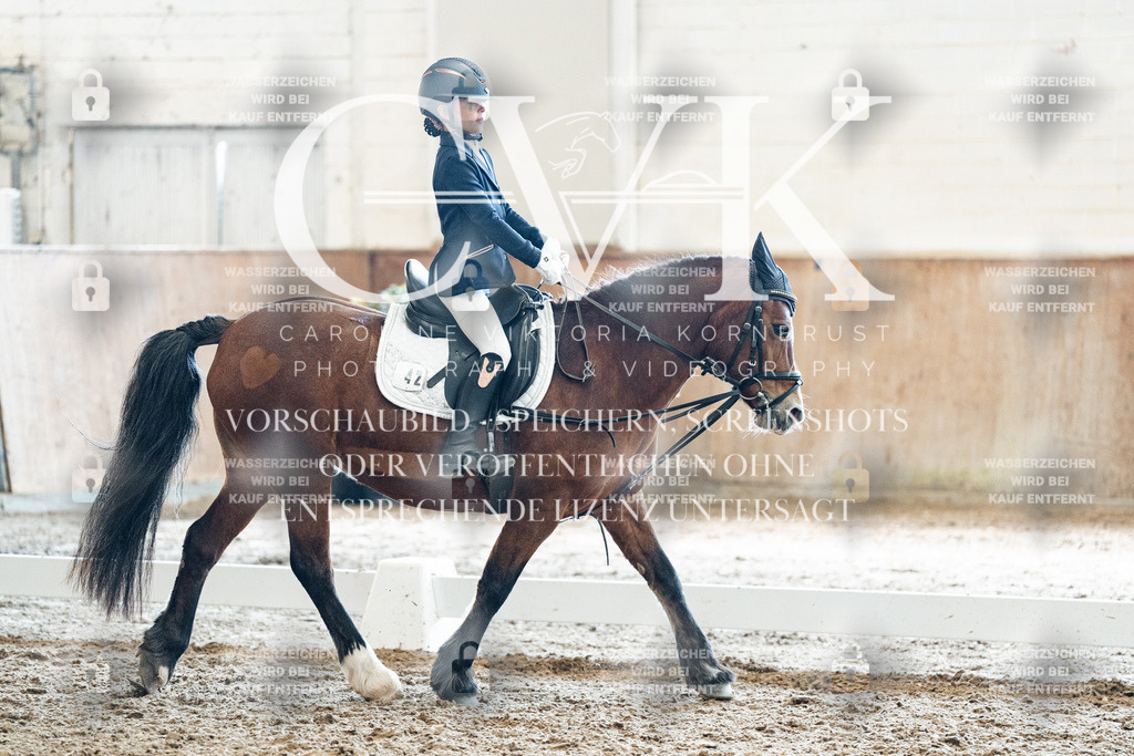 CK900385 | Turnierfotografie Pferdefotografie Trier Rheinland-Pfalz Pferdesport Reitsport Tierfotografie Sportfotografie Pferdevideo Pferdevideografie Equestrianvideography equestrianphotography  - Realized with Pictrs.com