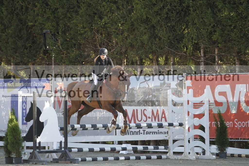 _MG_3753 | equestrian-live-com