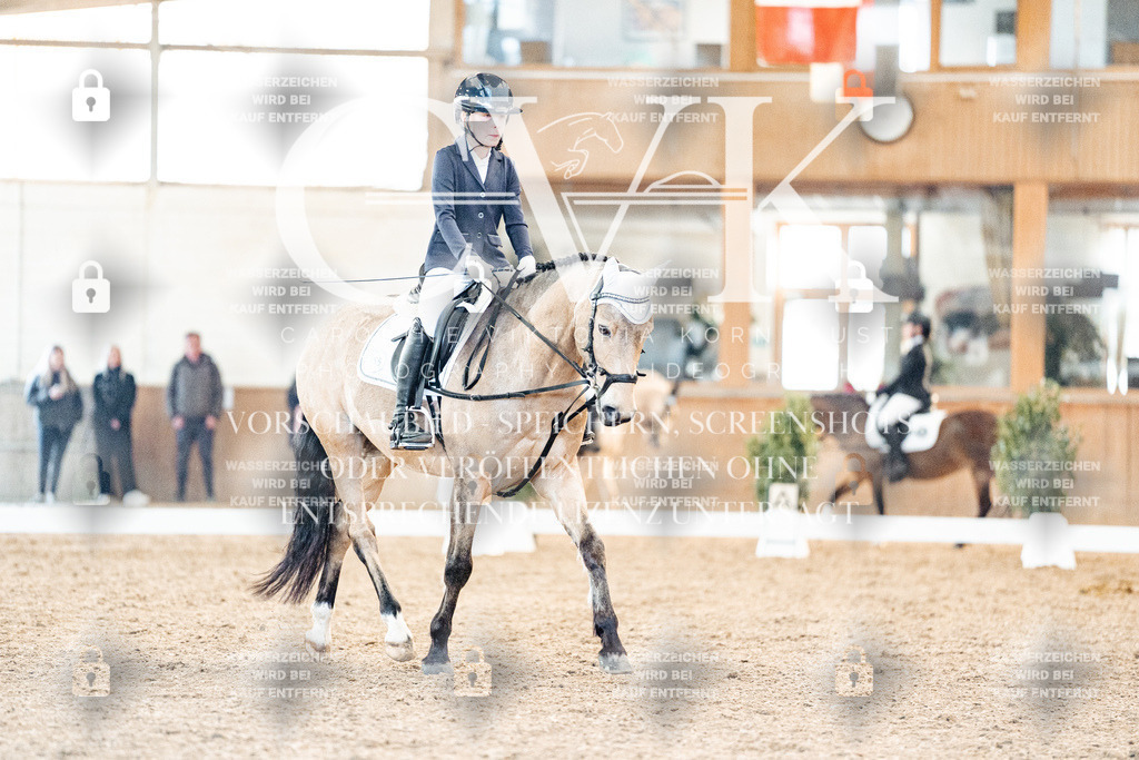 CK907352 | Turnierfotografie Pferdefotografie Trier Rheinland-Pfalz Pferdesport Reitsport Tierfotografie Sportfotografie Pferdevideo Pferdevideografie Equestrianvideography equestrianphotography  - Realisiert mit Pictrs.com