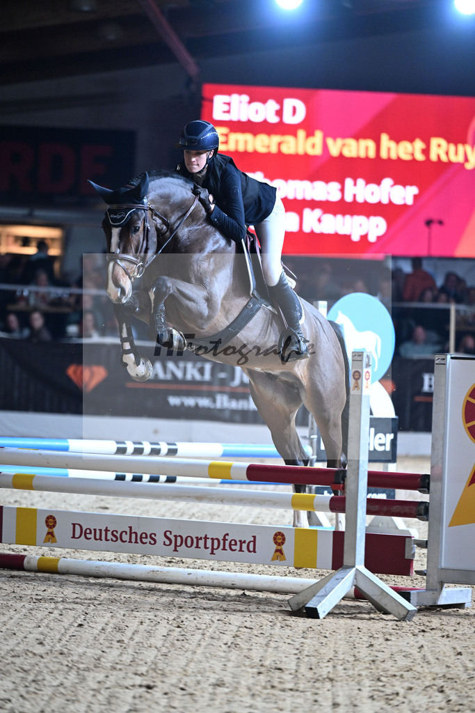Eliot_Dassler_2254374 | hf-fotografie - Realisiert mit Pictrs.com
