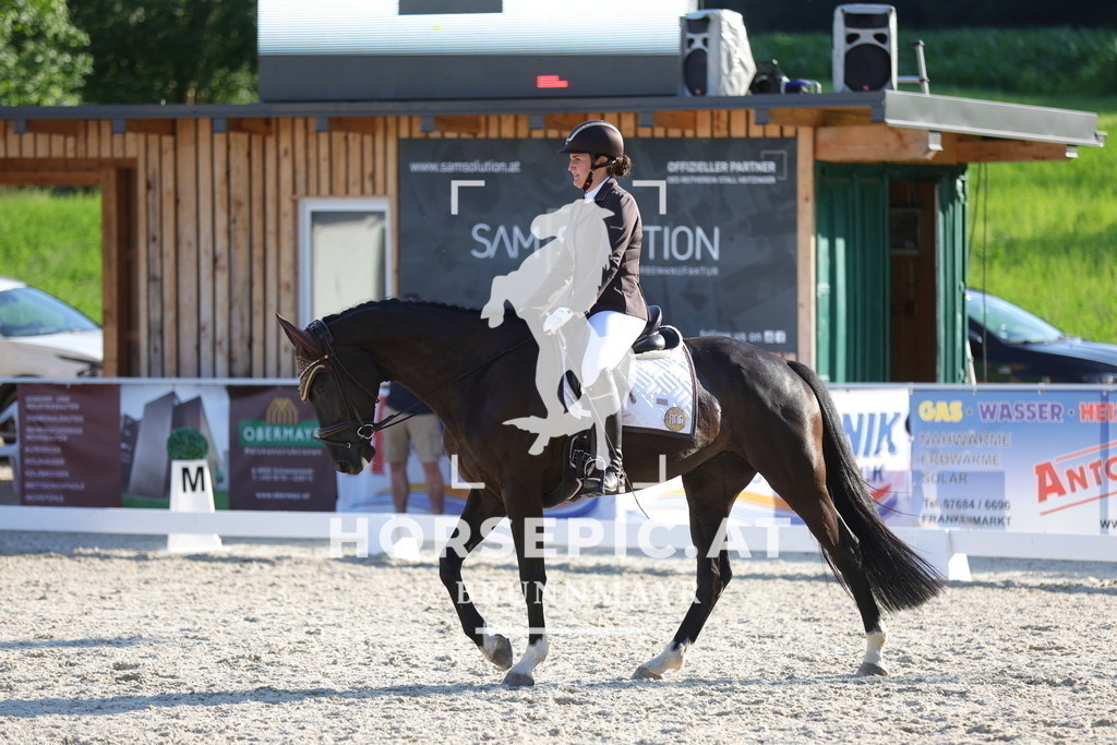 0P6A3281 | Willkommen bei Brunnmayr - Design & Fotografie – Ihrem Spezialisten für Reitturniere und Pferdeveranstaltungen in Oberösterreich, Salzburg und Bayern! Seit über 17 Jahren sind wir leidenschaftlich dabei.