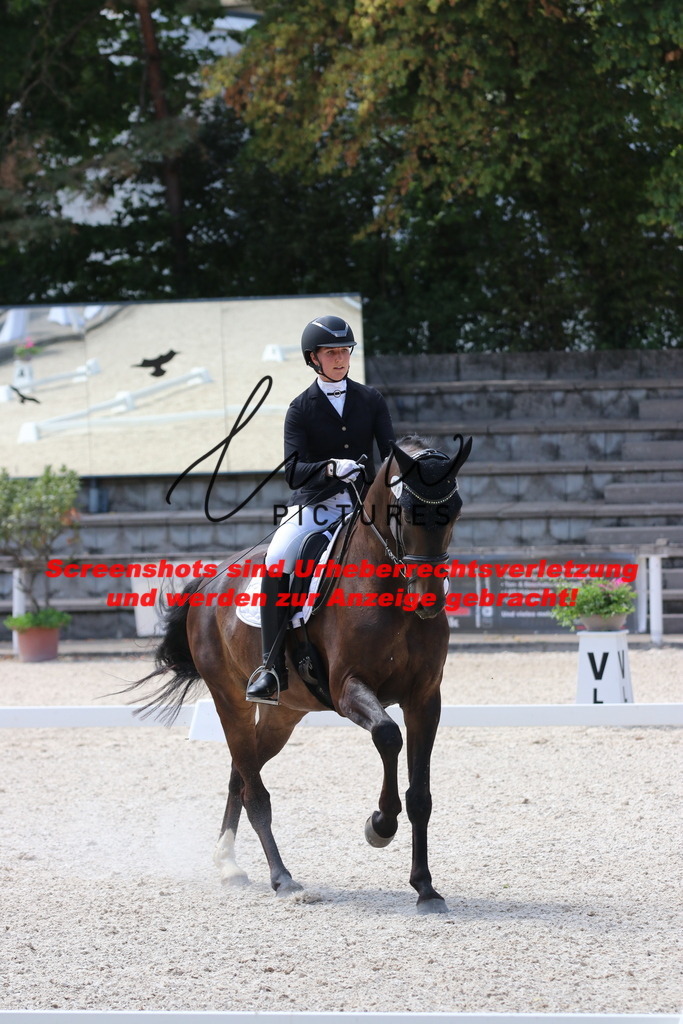 IMG_4742 | lmwpictures - Realisiert mit Pictrs.com