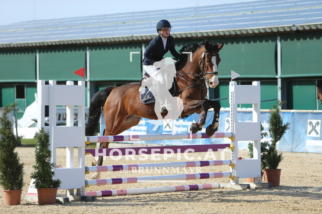 DL2Q3972 | Willkommen bei Brunnmayr - Design & Fotografie – Ihrem Spezialisten für Reitturniere und Pferdeveranstaltungen in Oberösterreich, Salzburg und Bayern! Seit über 17 Jahren sind wir leidenschaftlich dabei.