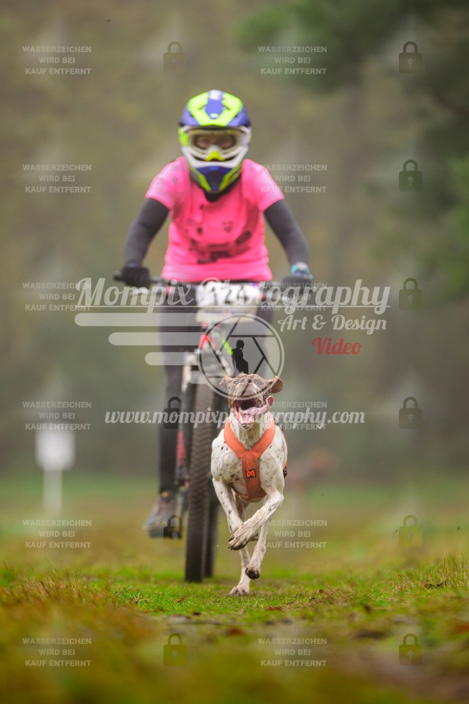 MompixPhotography_Bischwiller2025_Bike-55 | mompixphotography