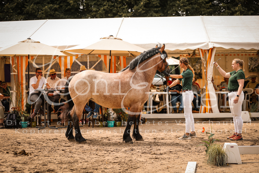 4.Sa00031 | Leoni Ertmer Photography - Realisiert mit Pictrs.com