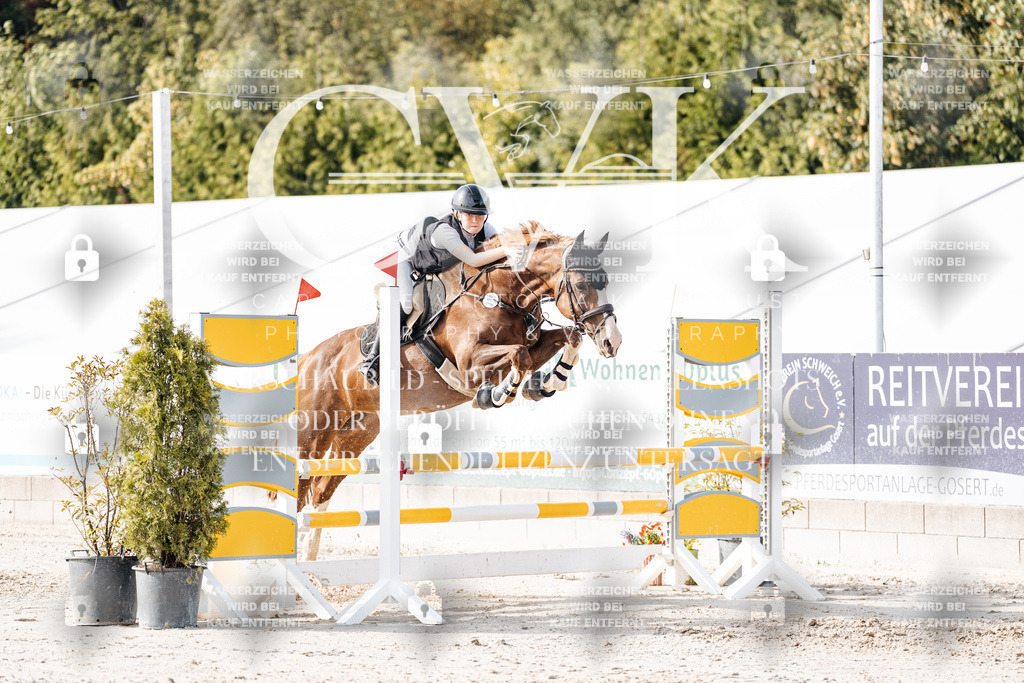 CK906018 | Turnierfotografie Pferdefotografie Trier Rheinland-Pfalz Pferdesport Reitsport Tierfotografie Sportfotografie Pferdevideo Pferdevideografie Equestrianvideography equestrianphotography  - Realisiert mit Pictrs.com
