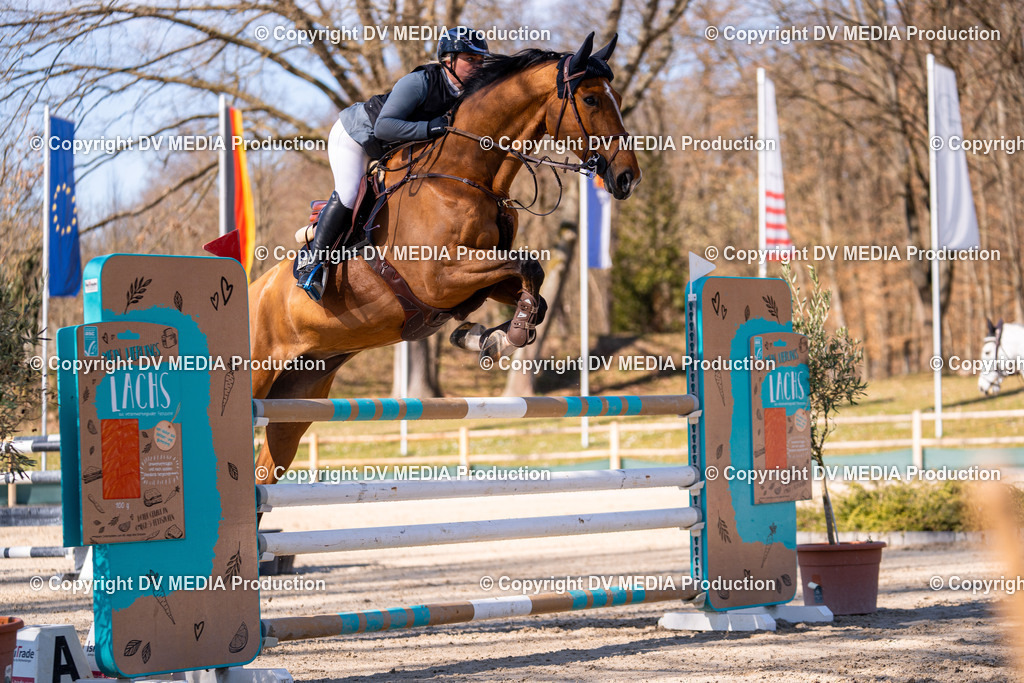 Kranichstein Tag 2-822 | dv-media-shop - Realisiert mit Pictrs.com