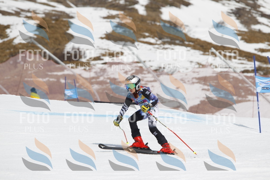 _U3G2459 | holidayphoto