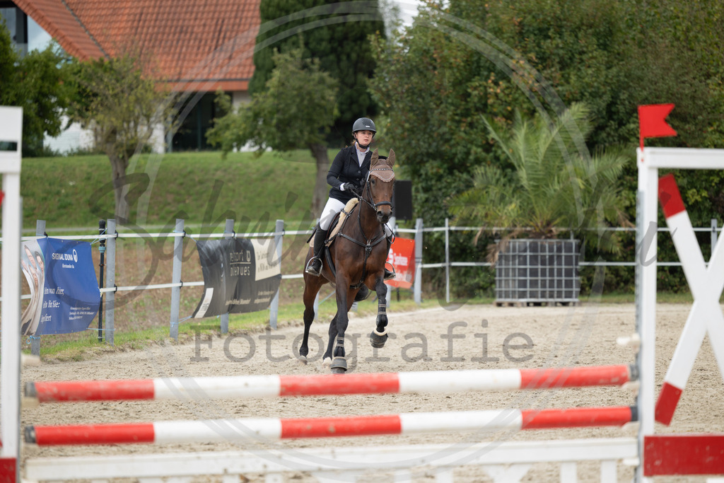 994A2360 | sabrinanicolaifotografie - Realisiert mit Pictrs.com