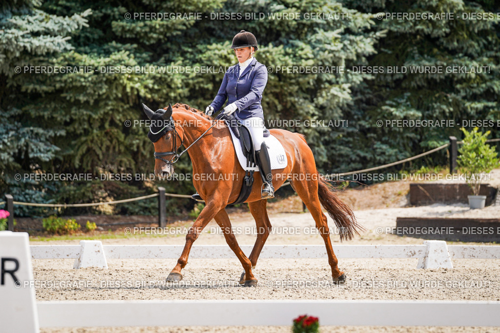 DSC00610 | Pferdegrafie