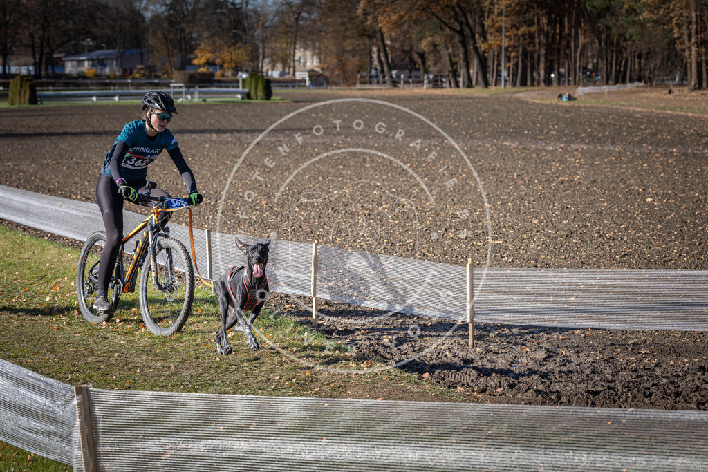 CaniXpix_DV3A7450 | Hundefotografie, Tierfotograf, Pfotenfotografie, Fotoshooting Hund, Hunde Portrait, Hundesport, Hundeportraits, Heideshooting, Hunde, Sportfotograf, Hundefotograf, Turnierhundsport, THS,  - Realisiert mit Pictrs.com