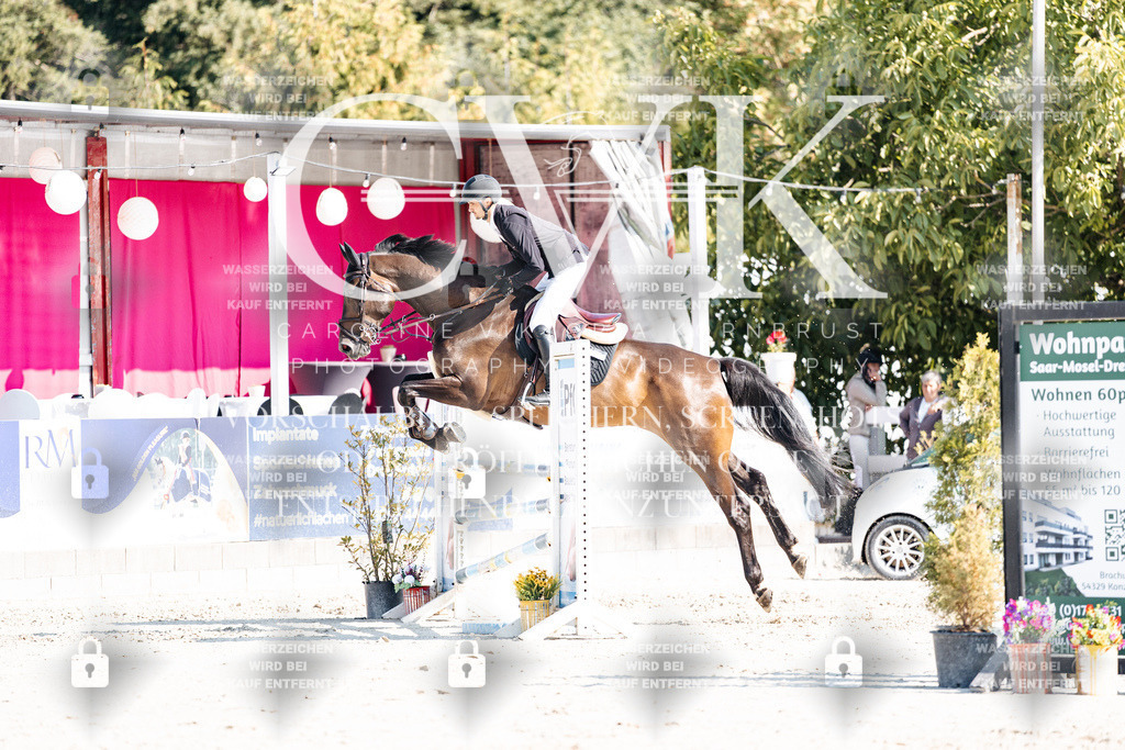 CK902287 | Turnierfotografie Pferdefotografie Trier Rheinland-Pfalz Pferdesport Reitsport Tierfotografie Sportfotografie Pferdevideo Pferdevideografie Equestrianvideography equestrianphotography  - Realisiert mit Pictrs.com