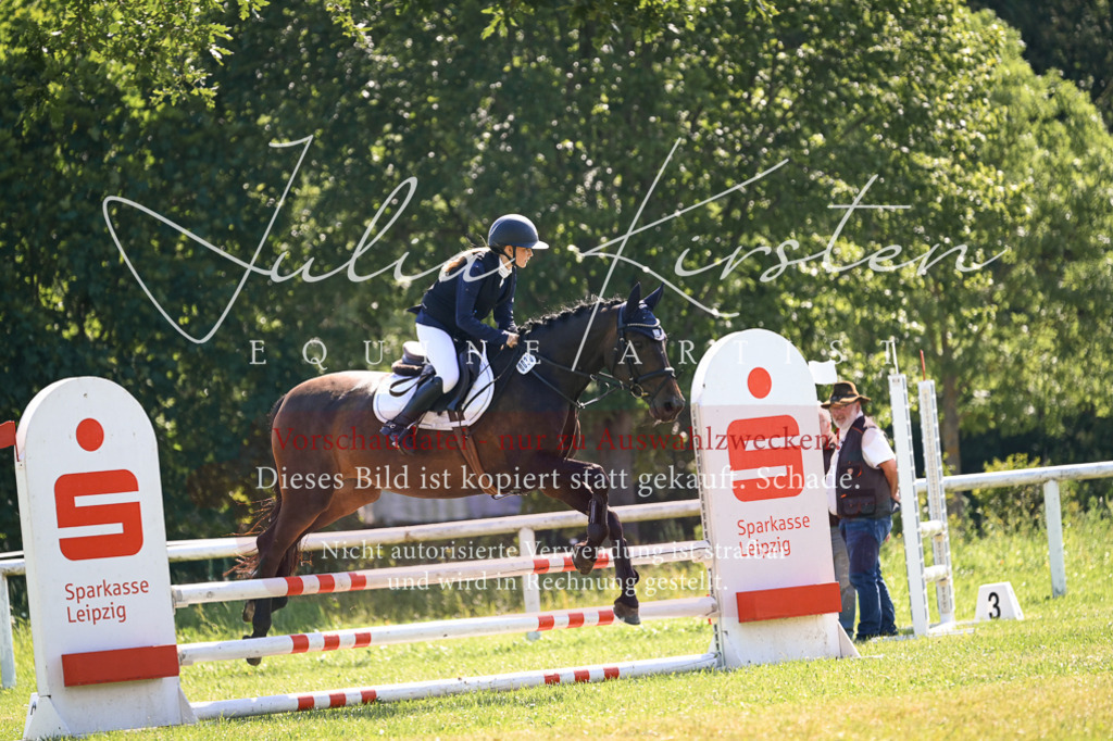 DSC_8769 | Pferde- und Turnierfotografie in Westsachsen. Pferdeportraits, Auftragszeichnungen und intuitive Kunst.