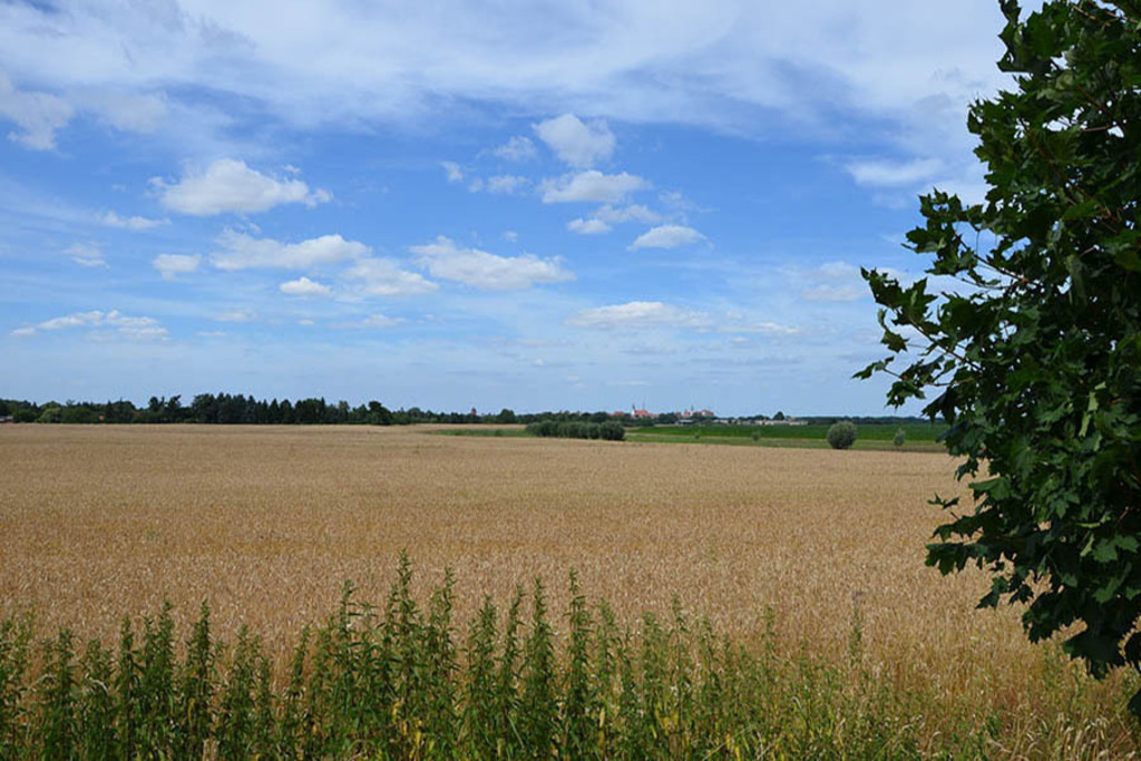 Torgau - Lutherweg Sachsen - Blick nach Torgau | Entdecke über 20 Kategorien Leipzig-Motive: Foto-Downloads, hochwertige Poster, Leinwand- & Fine-Art-Prints. Jetzt Lieblingsfoto im Bildlexikon Leipzig Shop bestellen!