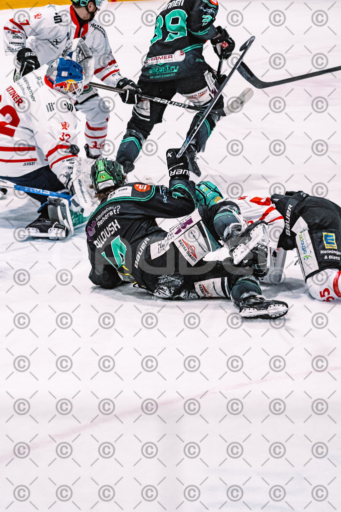 Alligators_vs_Toelz_15_02_2026-29 | Höchstadt Alligators Fotogalerie: Eishockey-Action aus Franken. Professionelle Spielfotos, Portraits & Stadionbilder zum Download. Jetzt entdecken! - Realisiert mit Pictrs.com