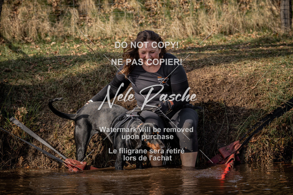nelerasche_FS1330-1400_282 | nelerasche