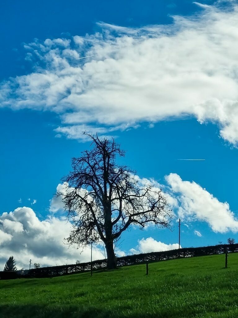 PSX_20221022_232428 | mtkfoto_ - Realisiert mit Pictrs.com