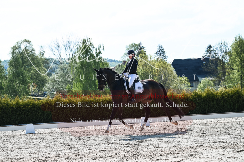 20230514_JK-Röhrsdorf-18-380 | Pferde- und Turnierfotografie in Westsachsen. Pferdeportraits, Auftragszeichnungen und intuitive Kunst.