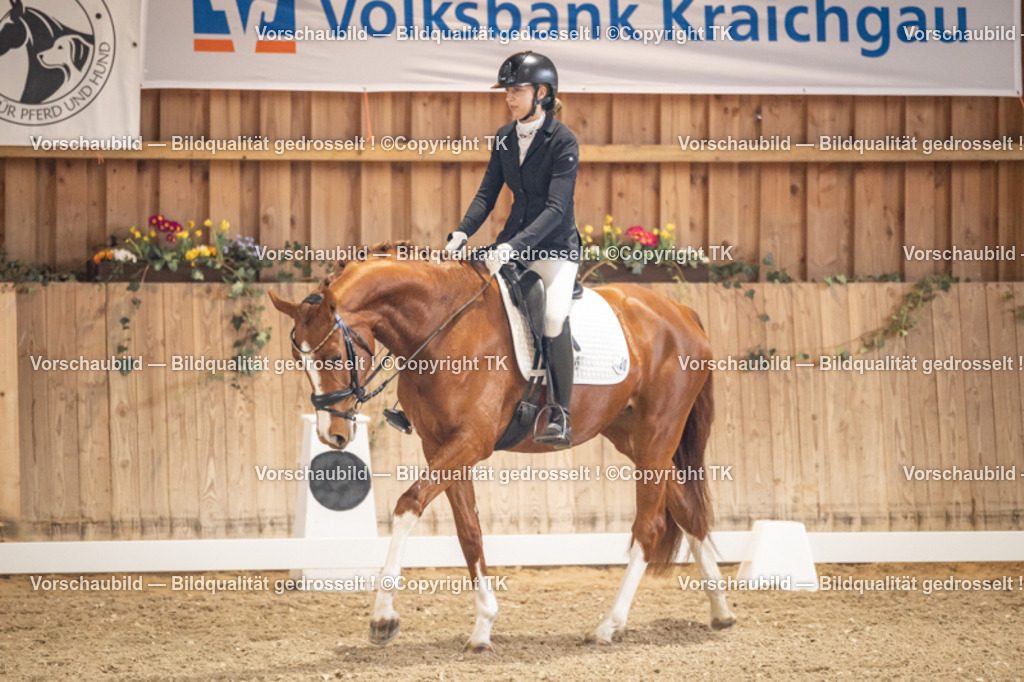 _D5A8608 | Emotionale Pferde- & People-Fotografie rund um Heidelberg, Leimen & Umgebung. Natürliche Fotos von Pferd, Mensch & Familie. Jetzt Termin sichern!