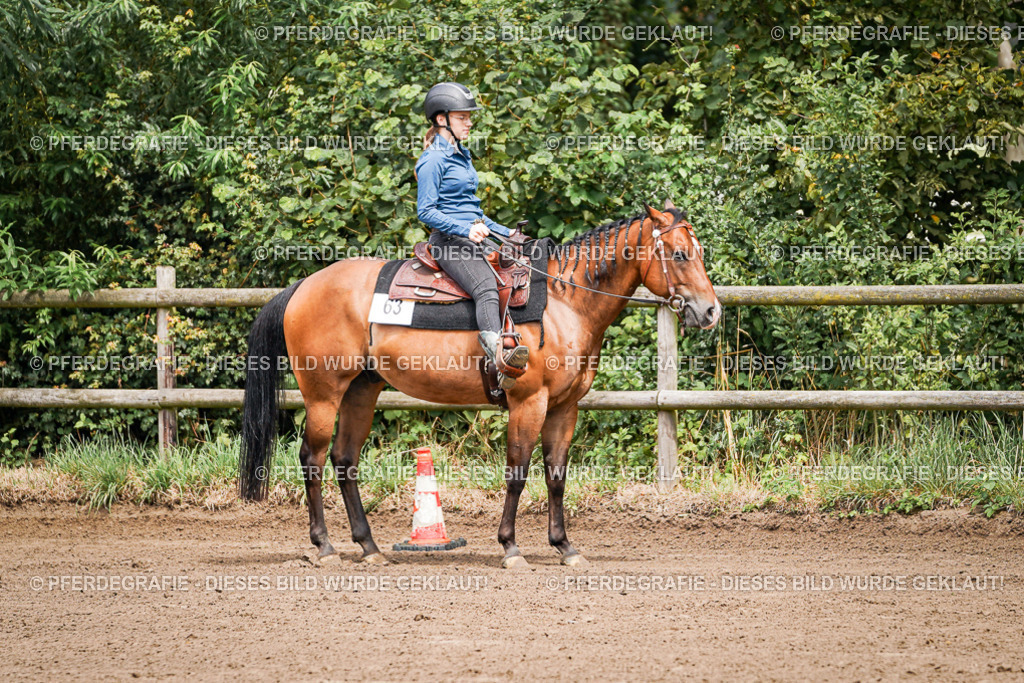 DSC05740 | Pferdegrafie