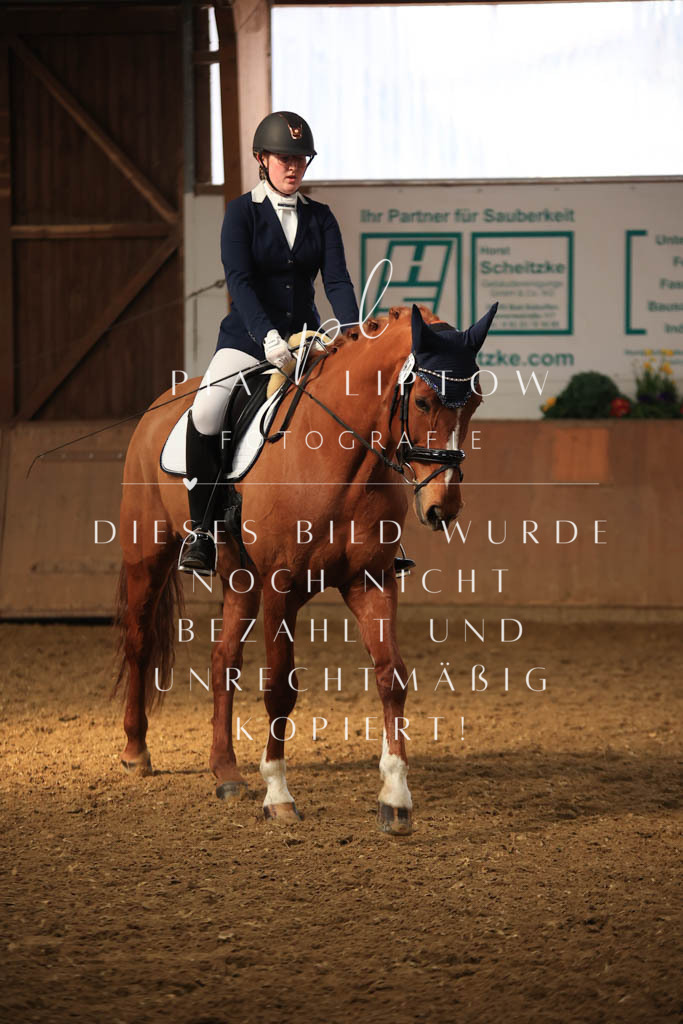 IMGT7656 | pl-fotografie