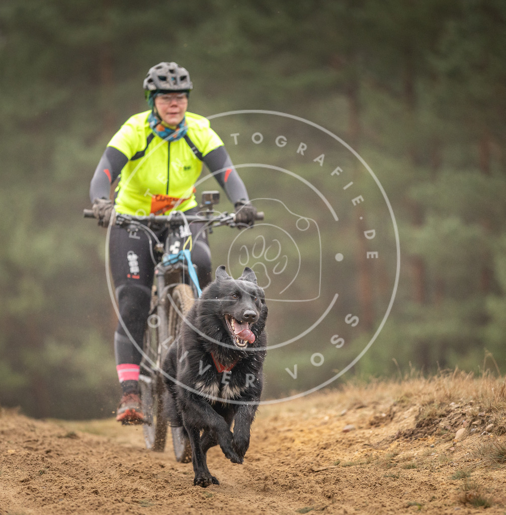 Pfotenfotografie_DV3A3839 | Hundefotografie, Tierfotograf, Pfotenfotografie, Fotoshooting Hund, Hunde Portrait, Hundesport, Hundeportraits, Heideshooting, Hunde, Sportfotograf, Hundefotograf, Turnierhundsport, THS,  - Realisiert mit Pictrs.com
