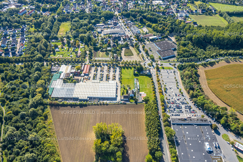 Hamm250901617 | Luftbild, Kreisverkehr Sachsring und Münsterstraße, Gartencenter Bintig GmbH und Kaufland Supermarkt, Stadtbezirk Heessen, Hamm, Ruhrgebiet, Nordrhein-Westfalen, Deutschland