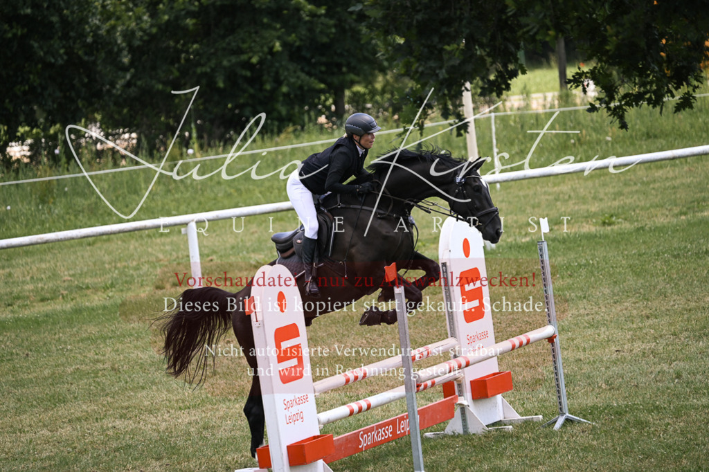 DSC_9749 | Pferde- und Turnierfotografie in Westsachsen. Pferdeportraits, Auftragszeichnungen und intuitive Kunst.