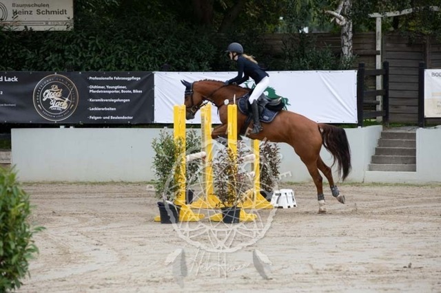 2B4A1577 | pixelfaenger - Realisiert mit Pictrs.com