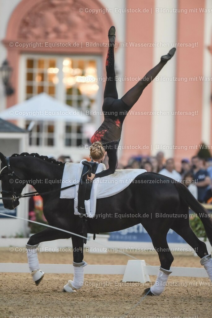 20230527_Voltigieren_NASPA_Flutlicht_0234 | equistock