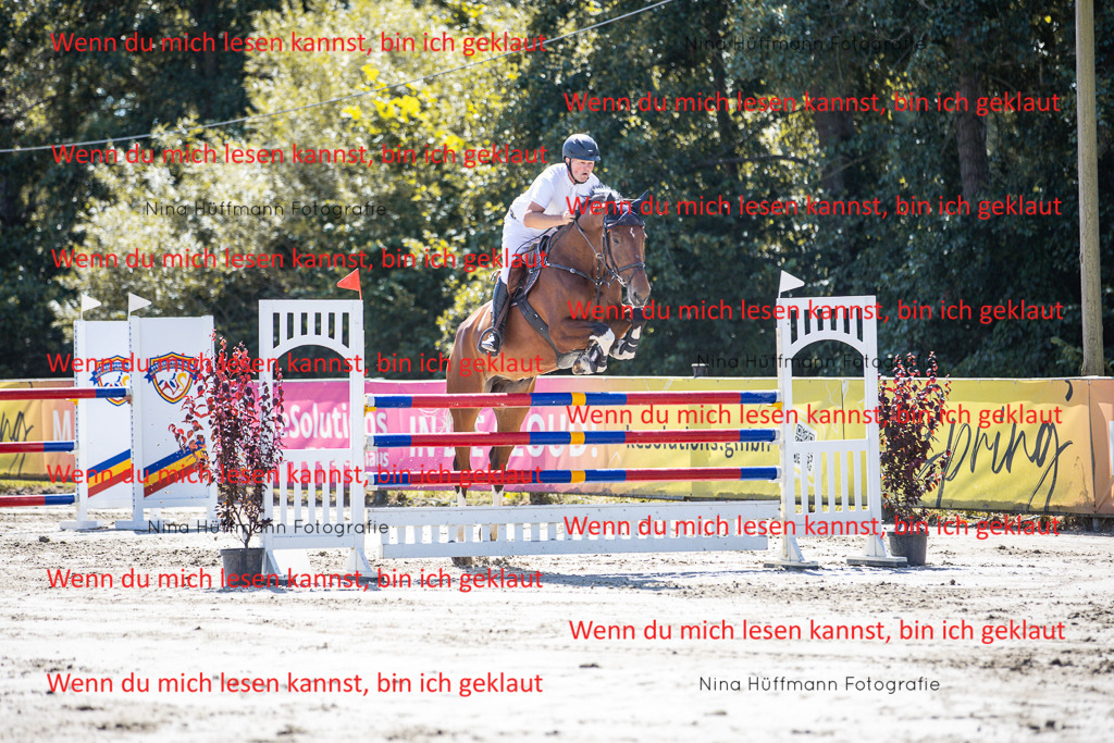 BK1A6285 | Turnierbilder Turnierfotos Nina Hüffmann Turnierfotografie Pferdefotografie Tierzeichnung Haustierzeichnung Pferdezeichnung Hundezeichnung Videograf  - Realisiert mit Pictrs.com