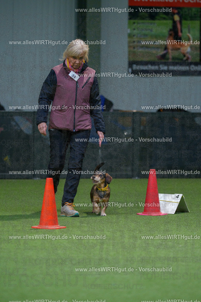 7R505865 | Professionelle Tierfotografie in Mönchengladbach von Daniel Wirth (allesWIRTHgut). Liebevolle & natürliche Bilder von Hunden & Katzen für unvergessliche Erinnerungen.